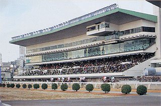 🏇 가와사키 경마장 (카와사키 케이바조) 이미지 7